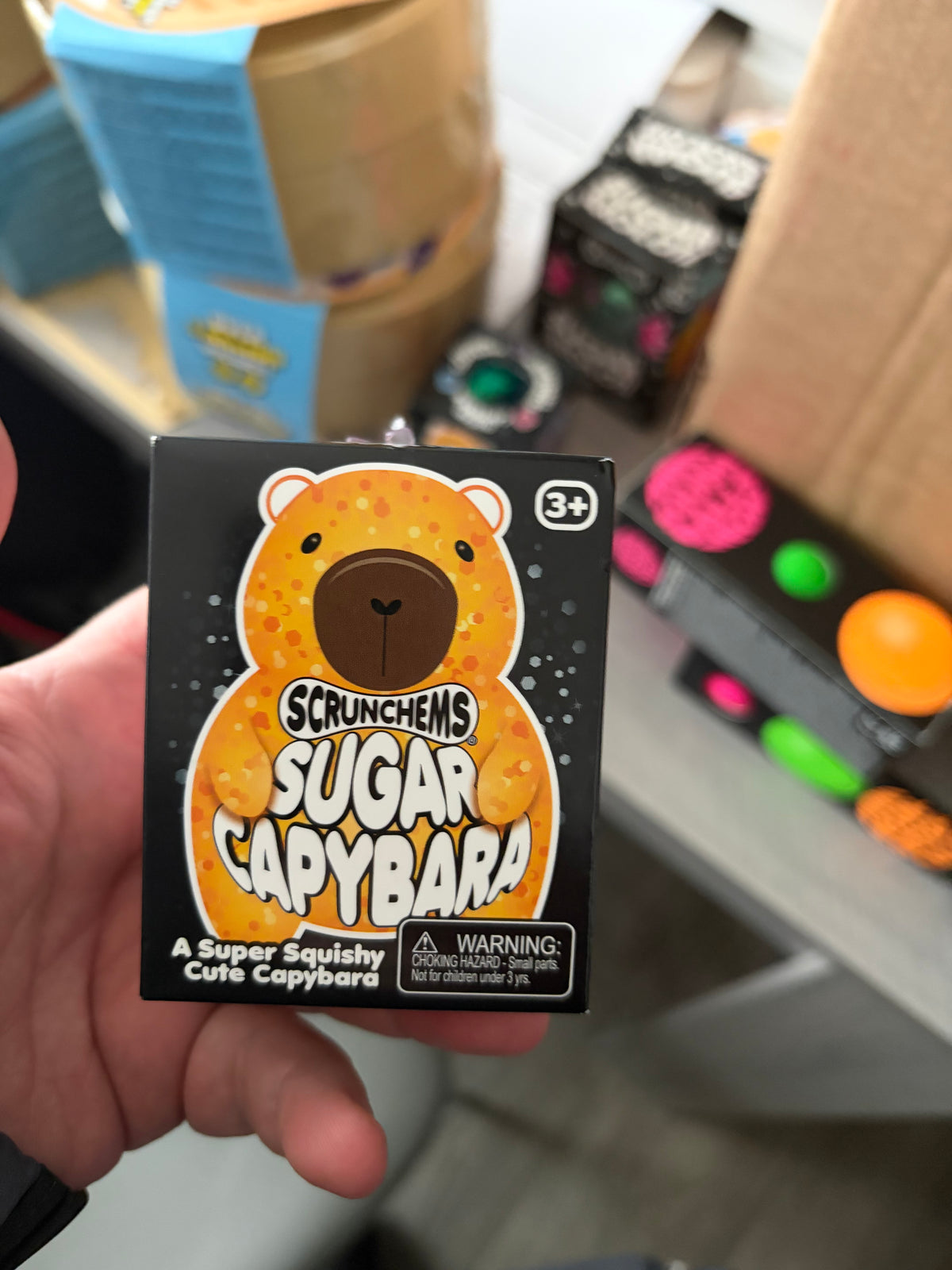 Scrunchems Sugar Capybara Super Squishy Cute Capybara Toy Age 3-4 MPN 39003